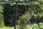 Woodville NSWvegetable-gardens-13.jpg; ?>