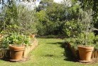 Woodville NSWvegetable-gardens-3.jpg; ?>